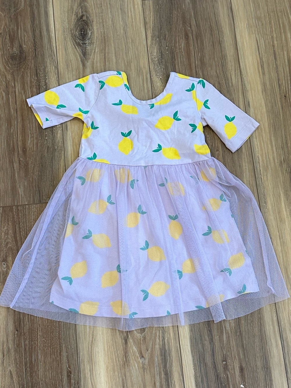 Hanna Andersson Lavender Purple Lemon Tulle Skater dress 2T